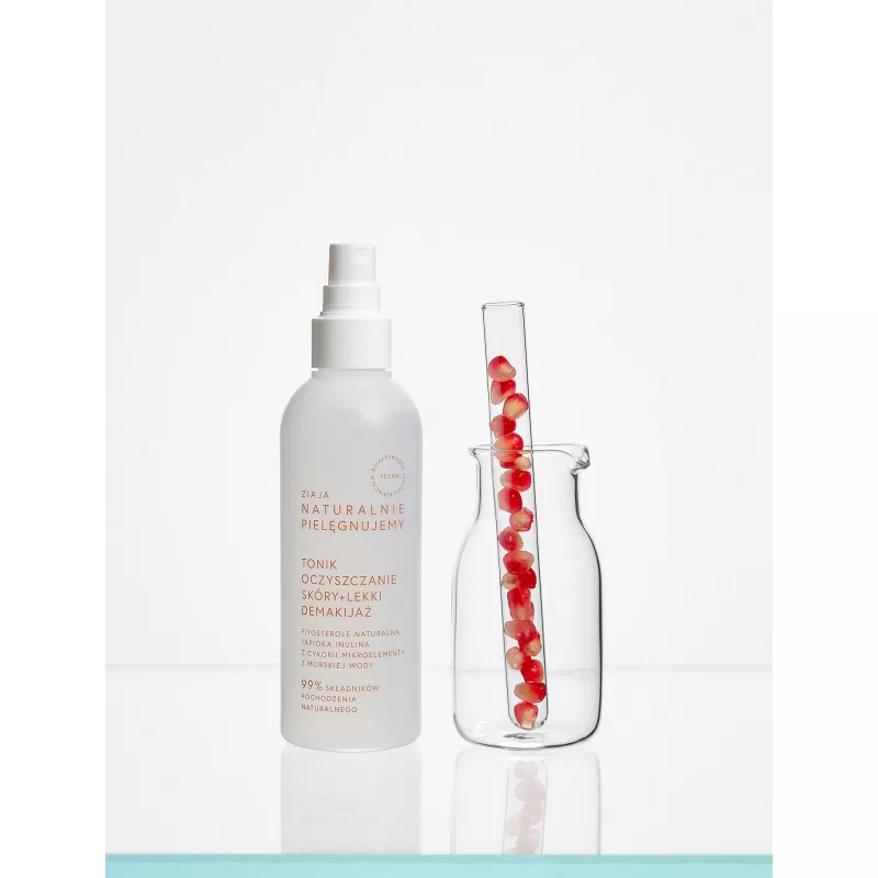 ZIAJA LTD. Z.P.L. SP. Z O.O. ZIAJA NATURA tonik oczyszczający spray  200 ml — Inhaltsstoffe i ocena