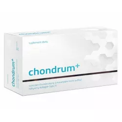 Chondrum+ x 60 kapsułek (data ważności 2026-03) wzmocnienie NOVISC PHARMA SP. Z O.O.