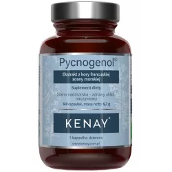 Kenay Pycnogenol x 60 kapsułek antyoksydanty KENAY