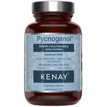Kenay Pycnogenol x 60 kapsułek antyoksydanty KENAY Kenay Pycnogenol x 60 kapsułek antyoksydanty KENAY