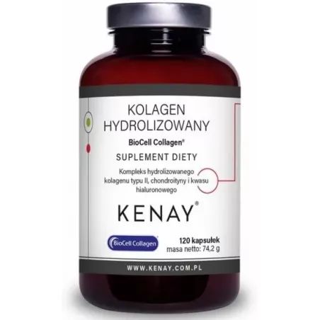 Kenay Kolagen Hydroli T II Biocell x 120 kapsułek Preparaty na stawy i kości KENAY