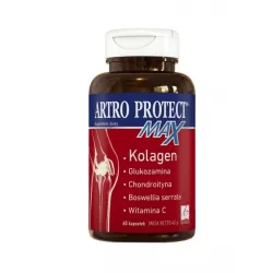 Artro Protect Max x 60 kapsułek stawy A-Z MEDICA SP. Z O.O.