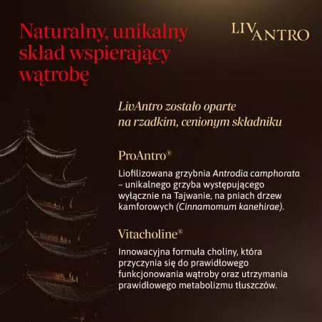LivAntro x 60 kapsułek wątroba QPHARMA SP. Z O.O.
