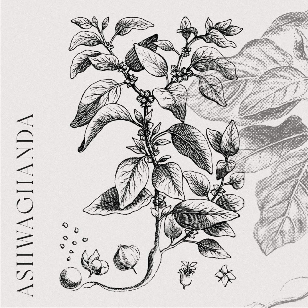 Chemia czy alchemia ziół