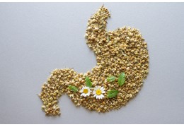 Najlepszy preparat na wątrobę bez recepty – poradnik farmaceutyczny