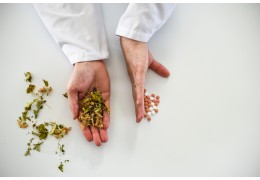 Ashwagandha – cudowne zioło na niedoczynność tarczycy?